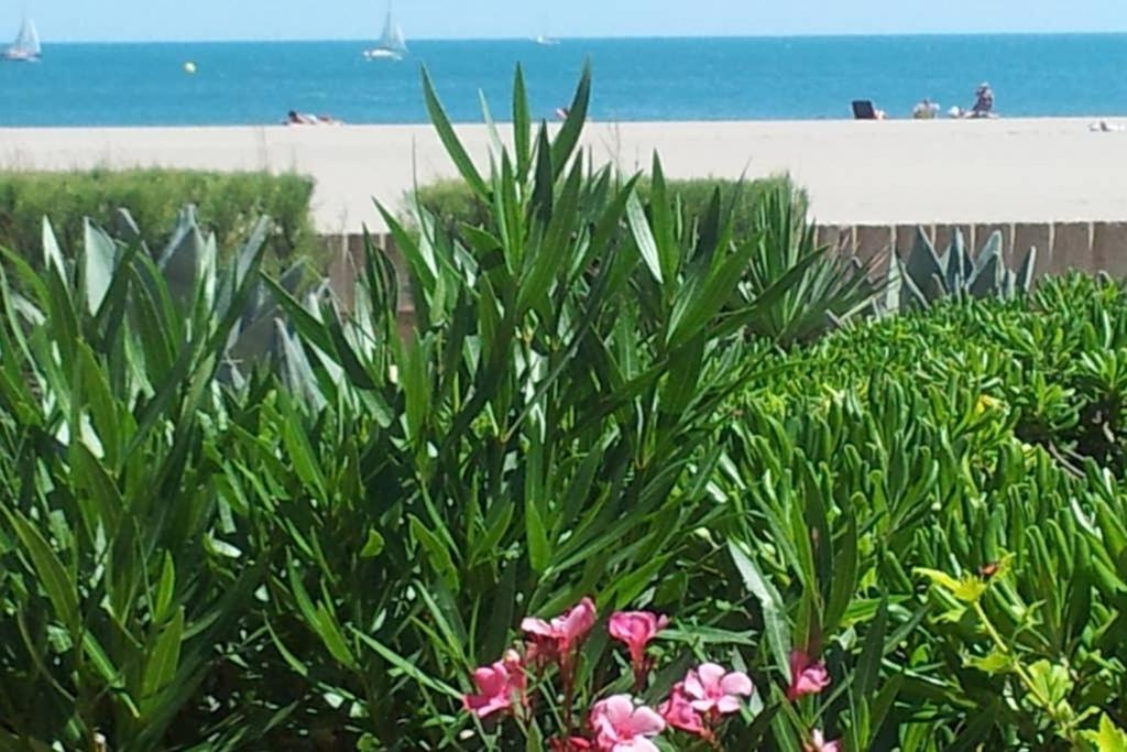 CROS Mer et Piscine Saint-Pierre-la-Mer  Extérieur photo